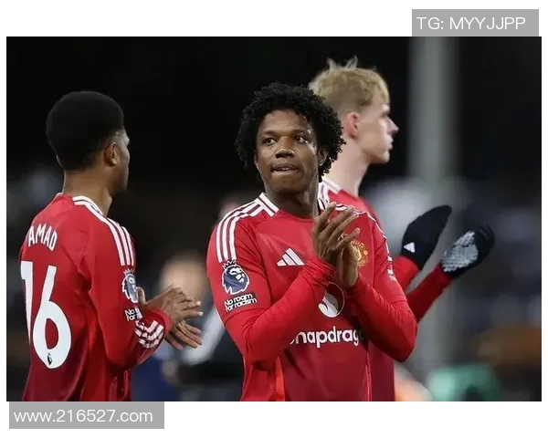 曼联引援受限只能关注葡萄牙体育球员神锋恐难如愿