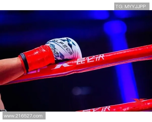 方便与西提猜的对决:谁能在现代生活中更胜一筹 方便与西提猜的对决:谁能在现代生活中更胜一筹